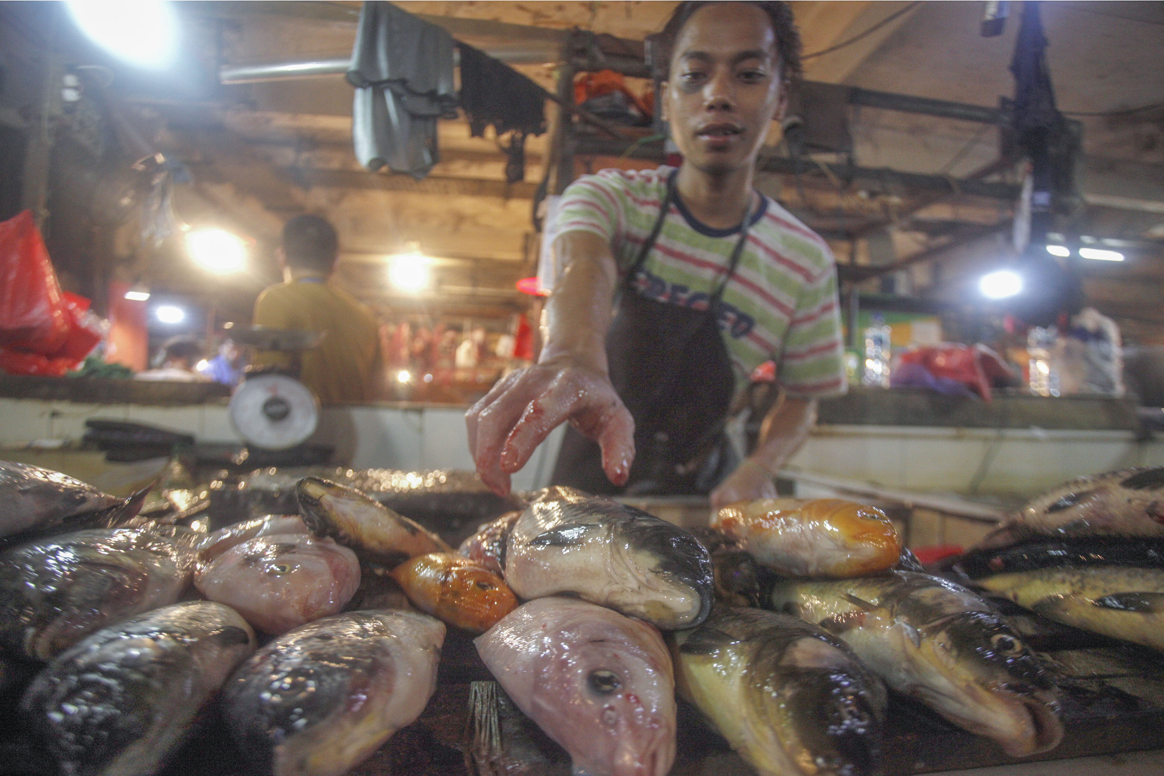 KKP Jamin Pasokan Ikan Cukup Sepanjang Ramadan