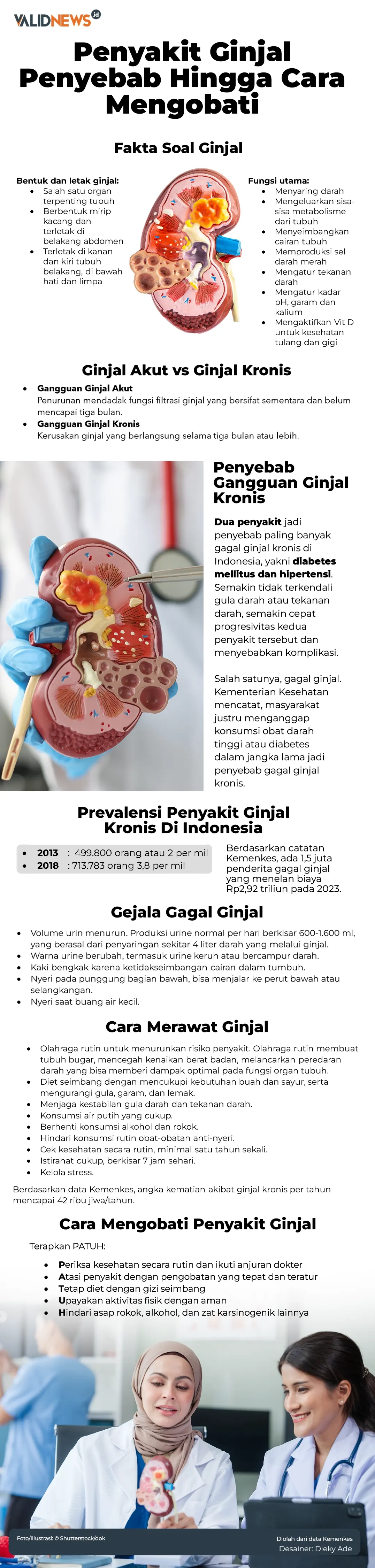 Penyakit Ginjal Penyebab Hingga Cara Mengobati