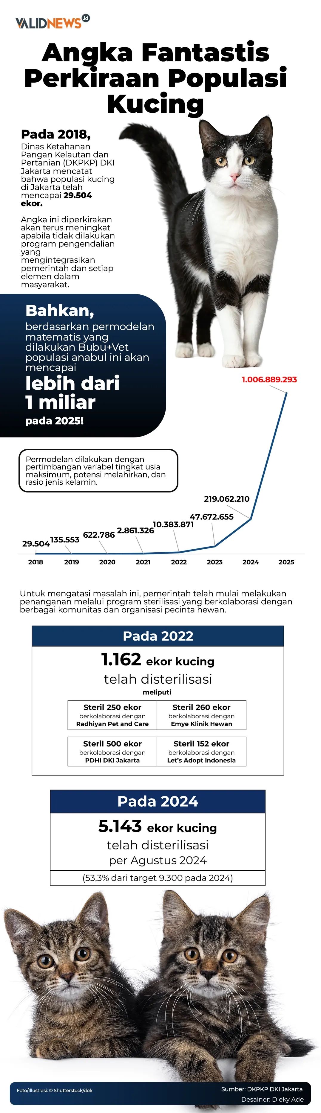 Angka Fantastis Perkiraan Populasi Kucing