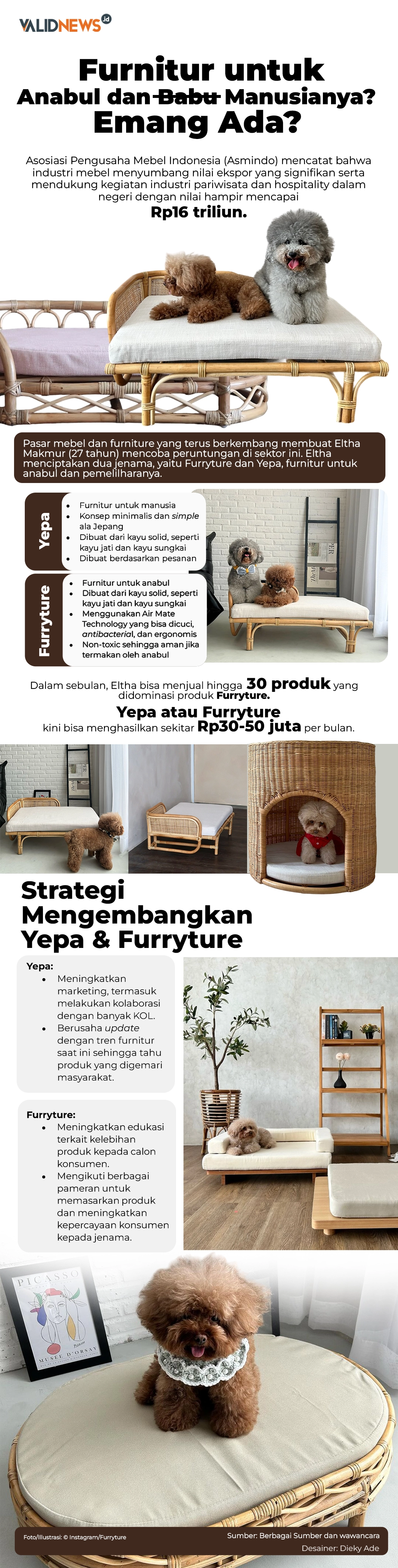 Adakah Furnitur untuk Anabul dan Babu Manusianya?