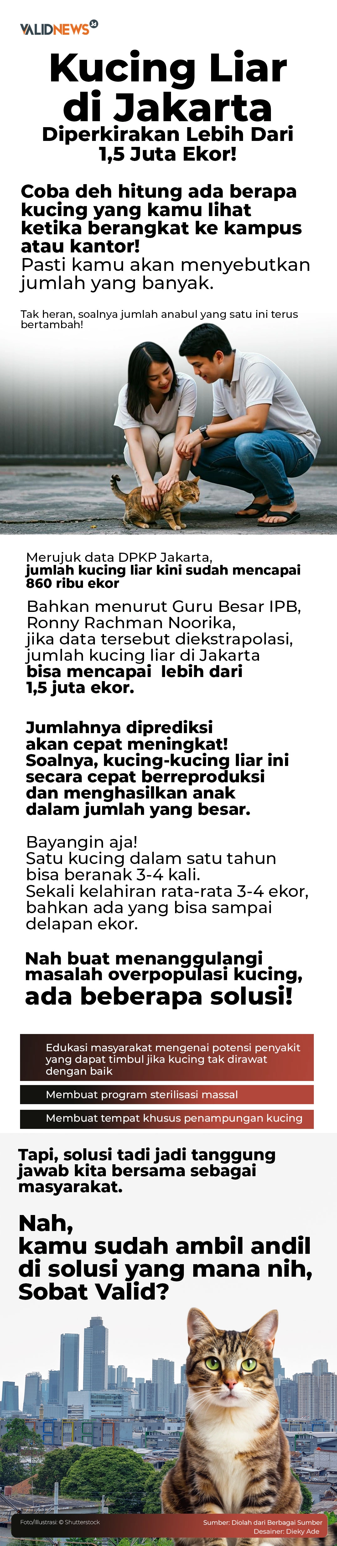 Kucing Liar di Jakarta