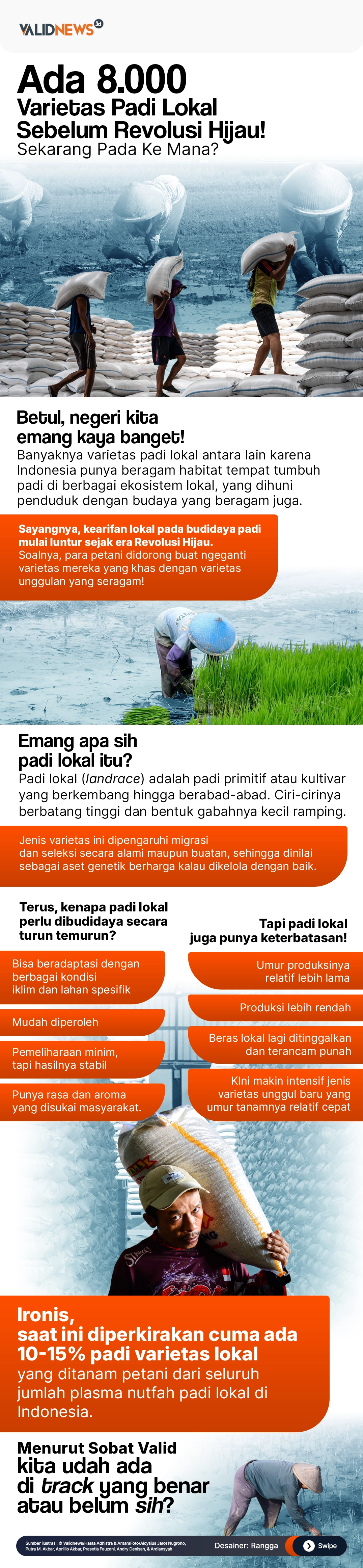 Perkembangan Varietas Padi Lokal