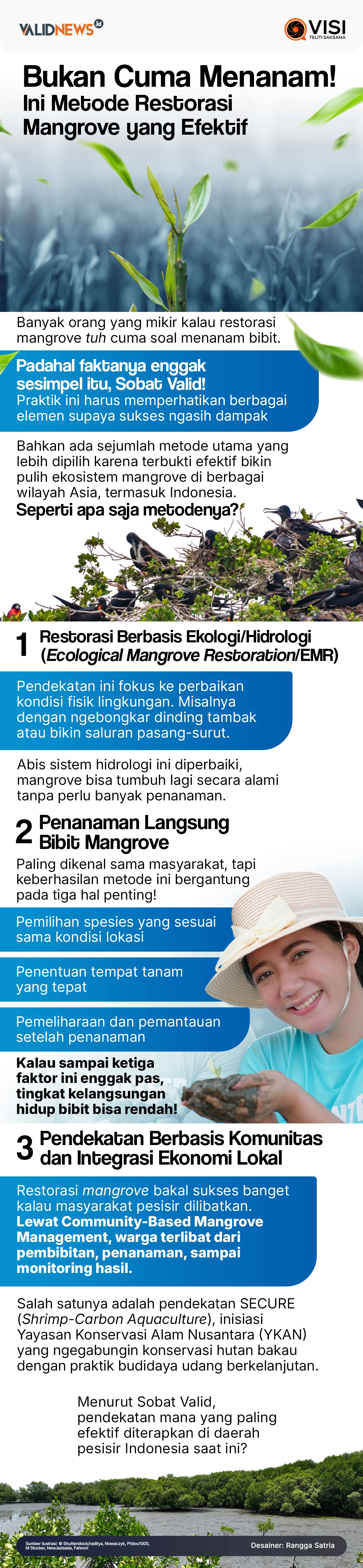 Bukan Cuma Menanam! Ini Metode Restorasi Mangrove