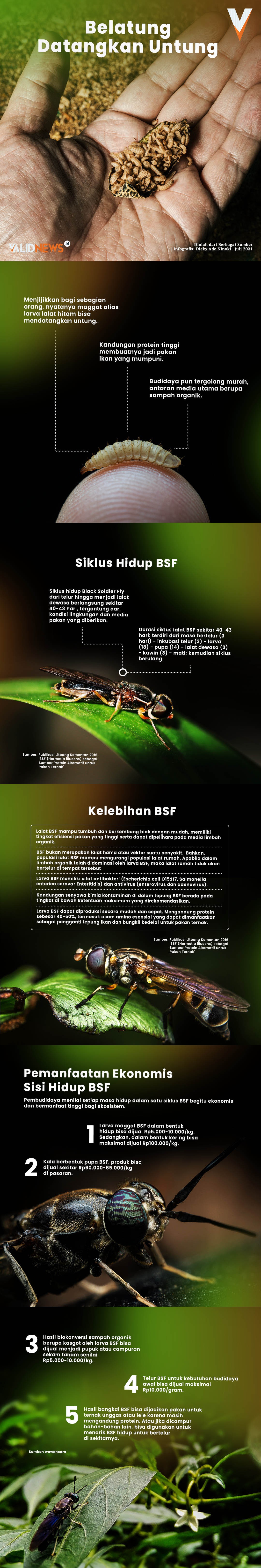 main content infografis