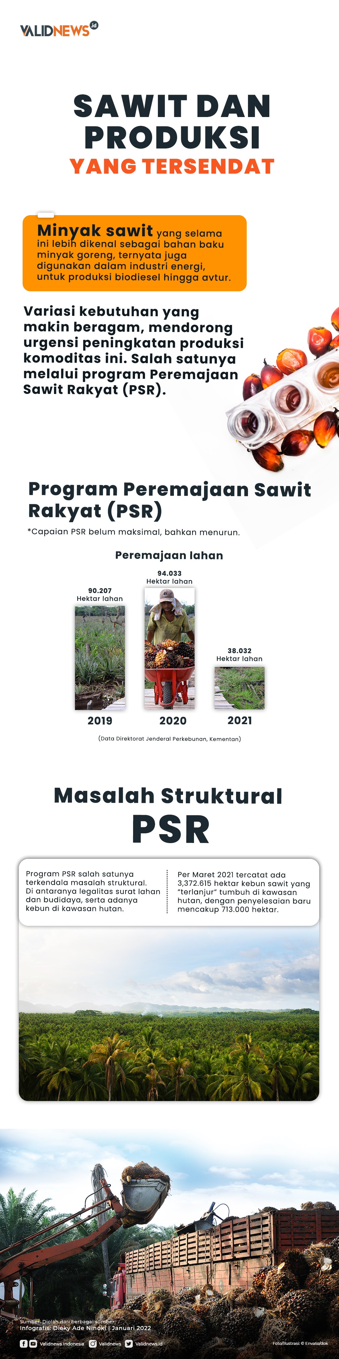 Sawit dan Produksi Yang Tersendat