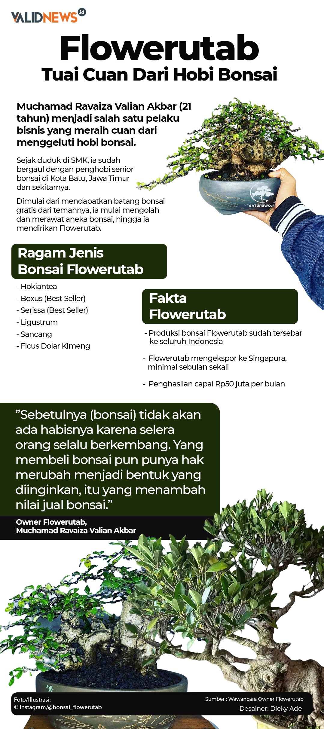 Flowerutab Tuai Cuan Dari Hobi Bonsai