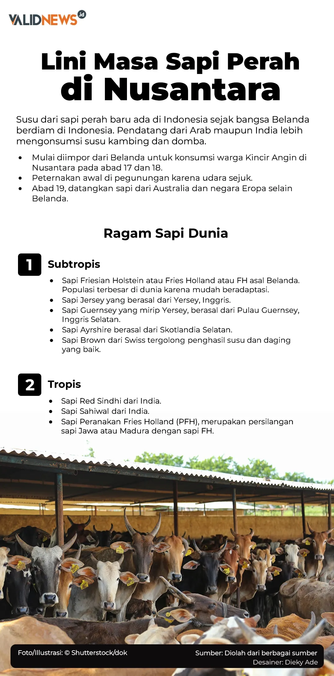 Lini Masa Sapi Perah di Nusantara