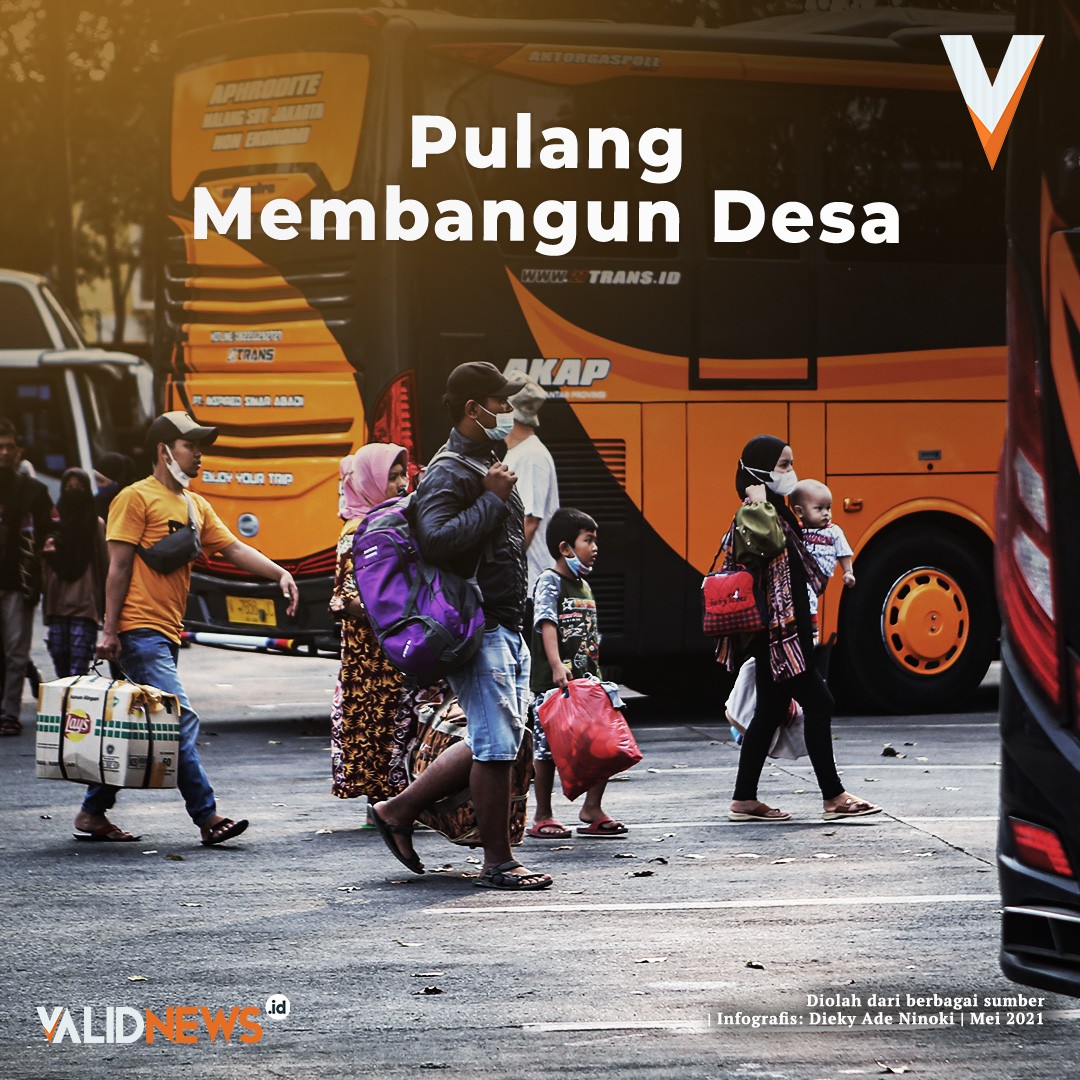 Pulang Membangun Desa