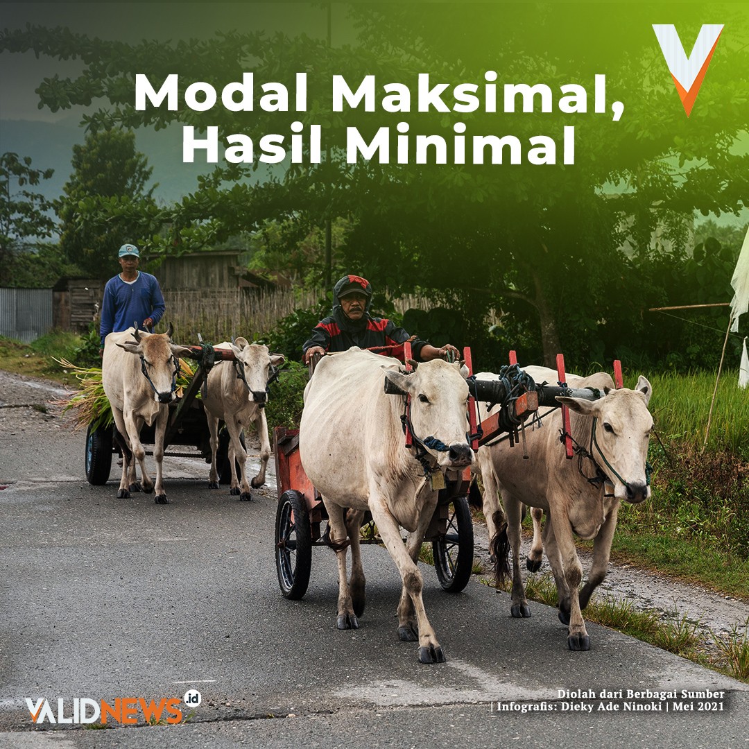 Modal Maksimal, Hasil Minimal