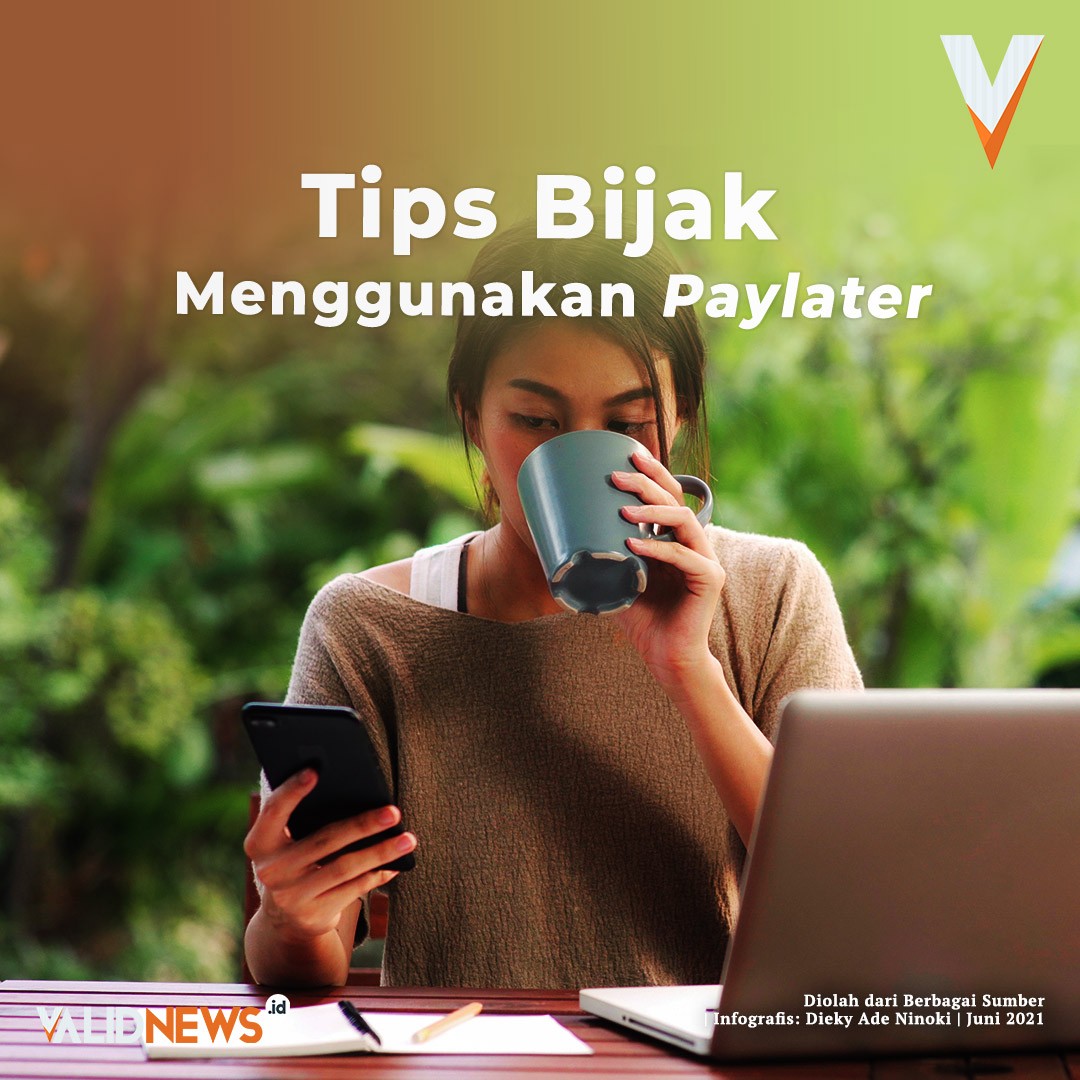 Tips Bijak Menggunakan Paylater