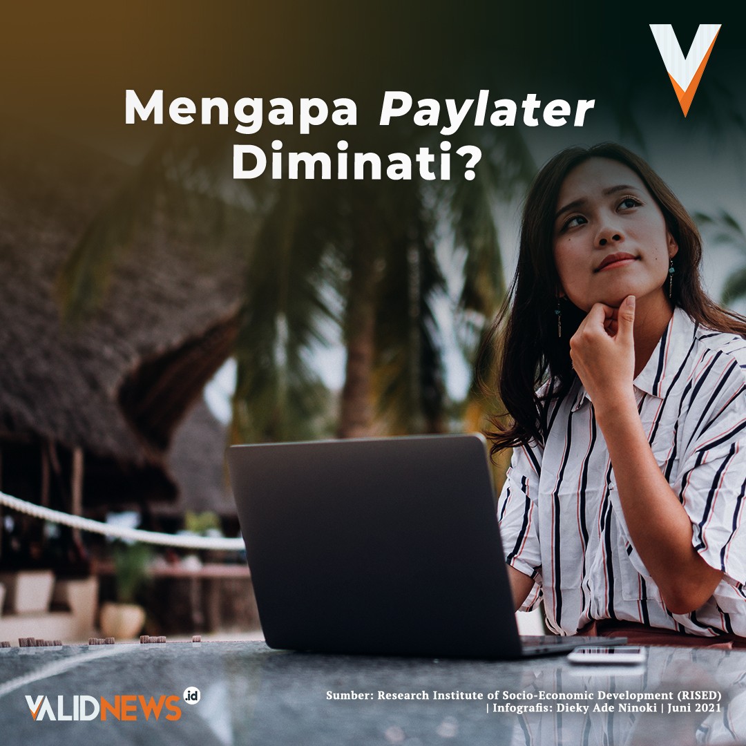 Mengapa Paylater Diminati?