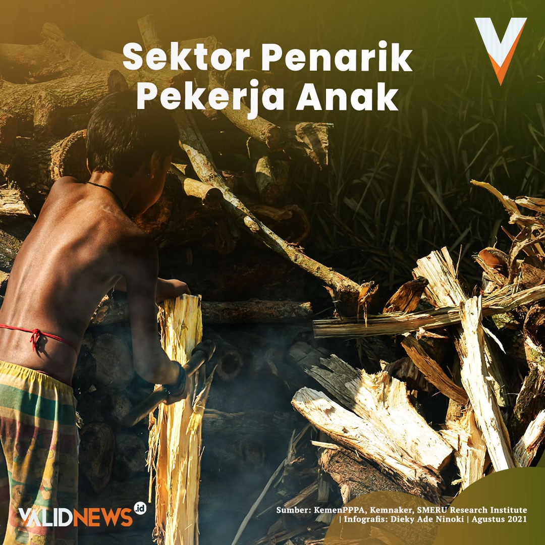 Sektor Penarik Pekerja Anak