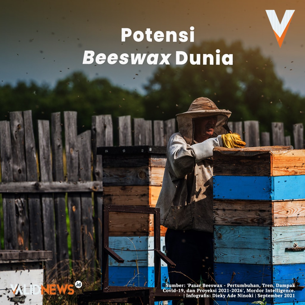 Potensi Beeswax Dunia