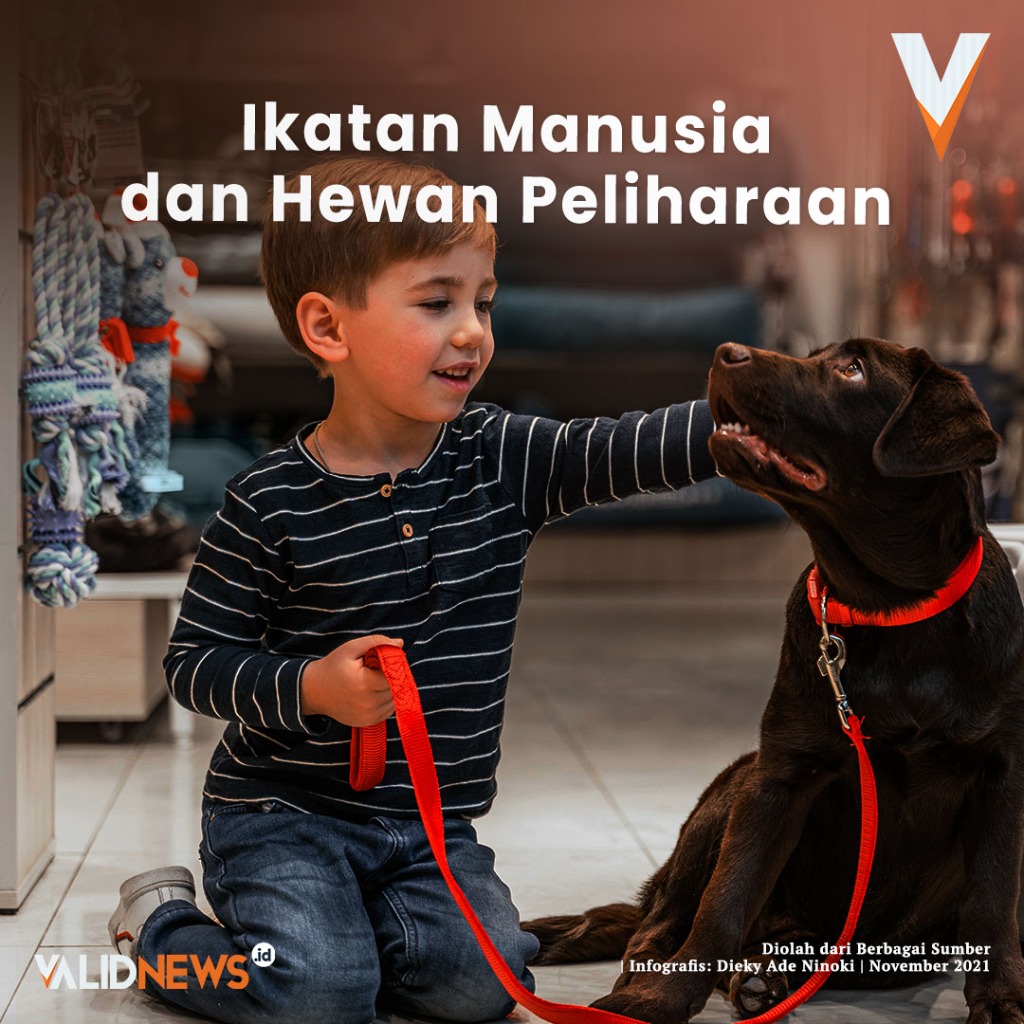 Ikatan Manusia dan Hewan Peliharaan