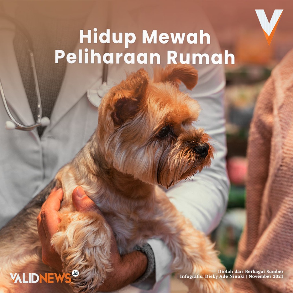 Hidup Mewah Peliharaan Rumah