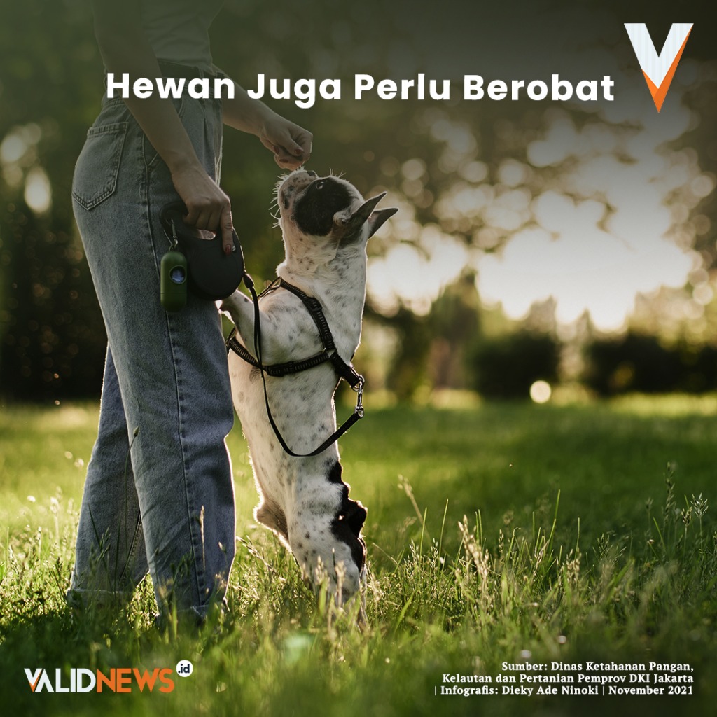 Hewan Juga Perlu Berobat