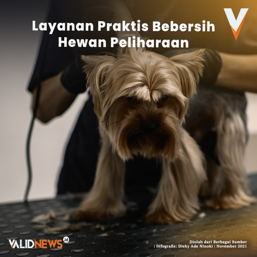 Layanan Praktis Bebersih Hewan Peliharaan