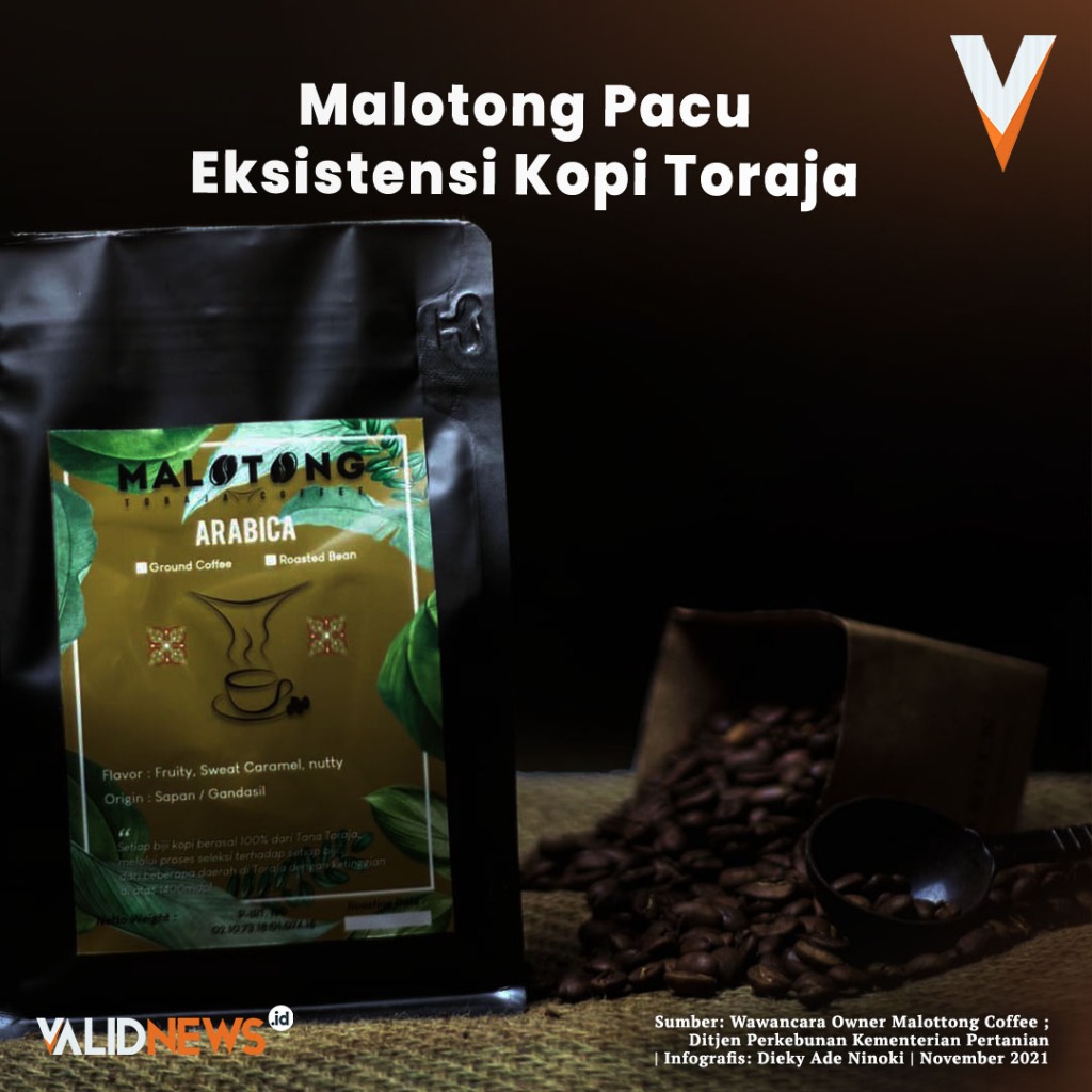 Malotong Pacu Eksistensi Kopi Toraja