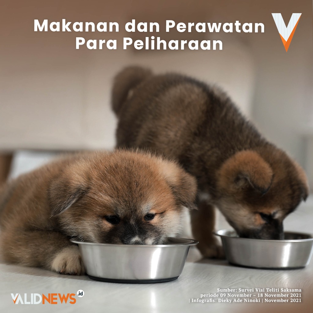 Makanan dan Perawatan Para Peliharaan