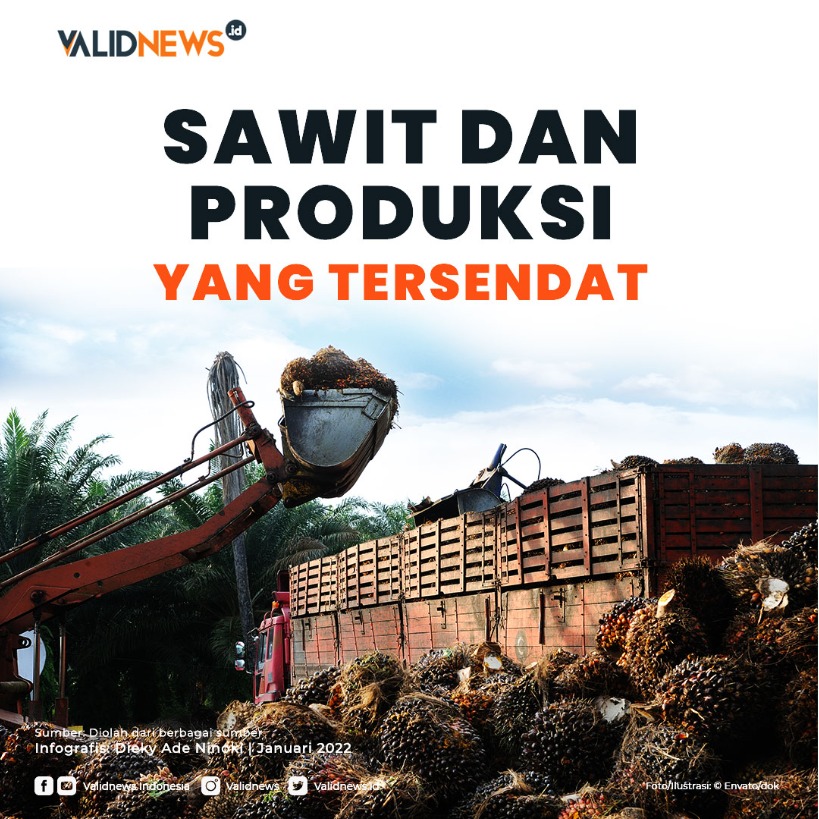 Sawit dan Produksi Yang Tersendat