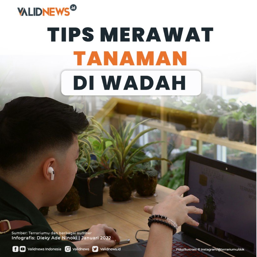 Tips Merawat Tanaman di Wadah