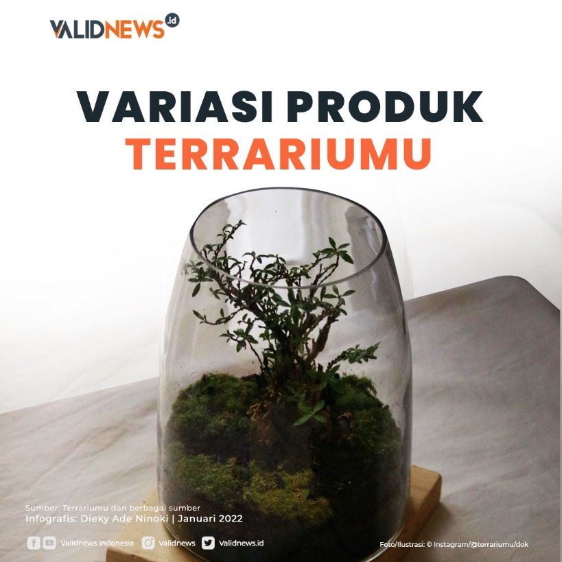 Variasi Produk Terrariumu