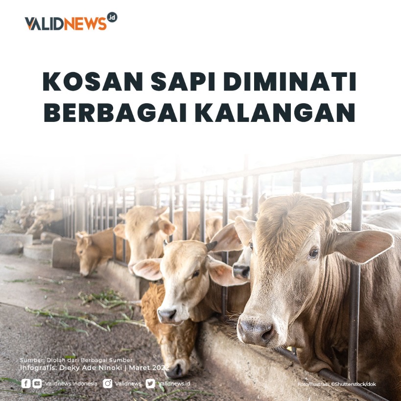 Kosan Sapi Diminati Berbagai Kalangan