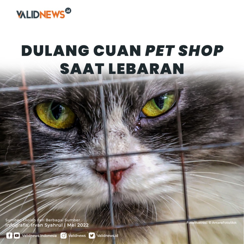 Dulang Cuan Pet Shop Saat Lebaran