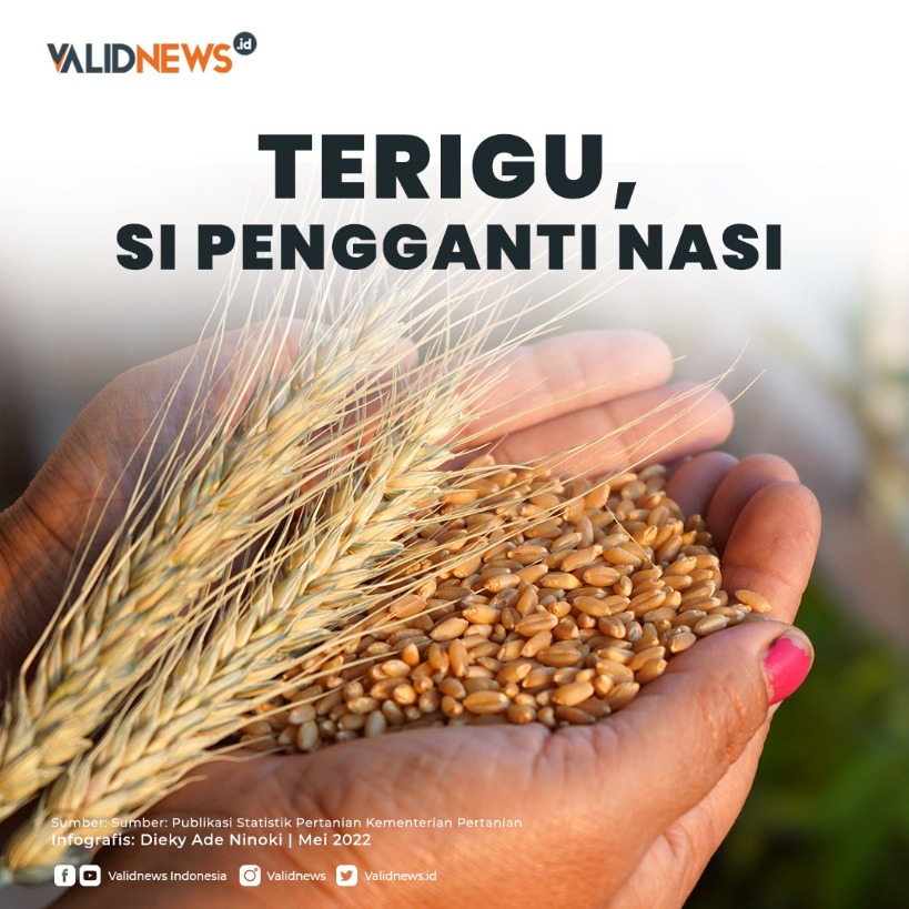 Terigu, Si Pengganti Nasi