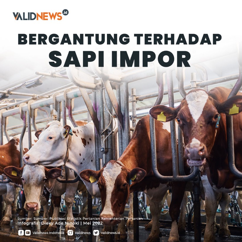 Bergantung Terhadap Sapi Impor