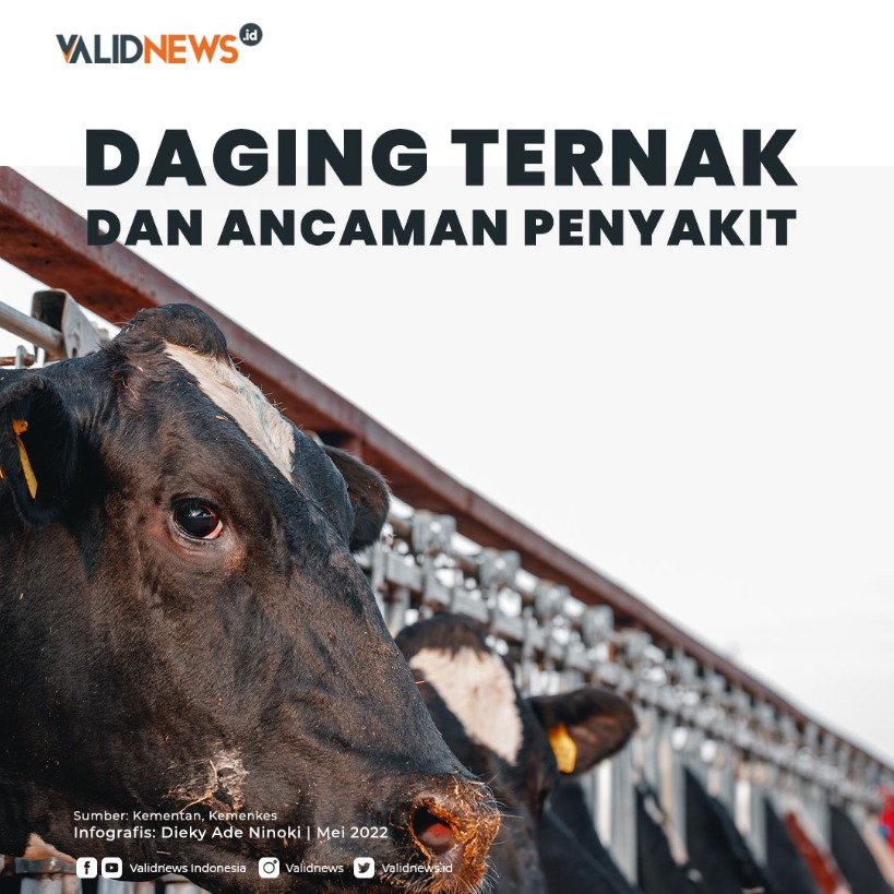 Daging Ternak dan Ancaman Penyakit
