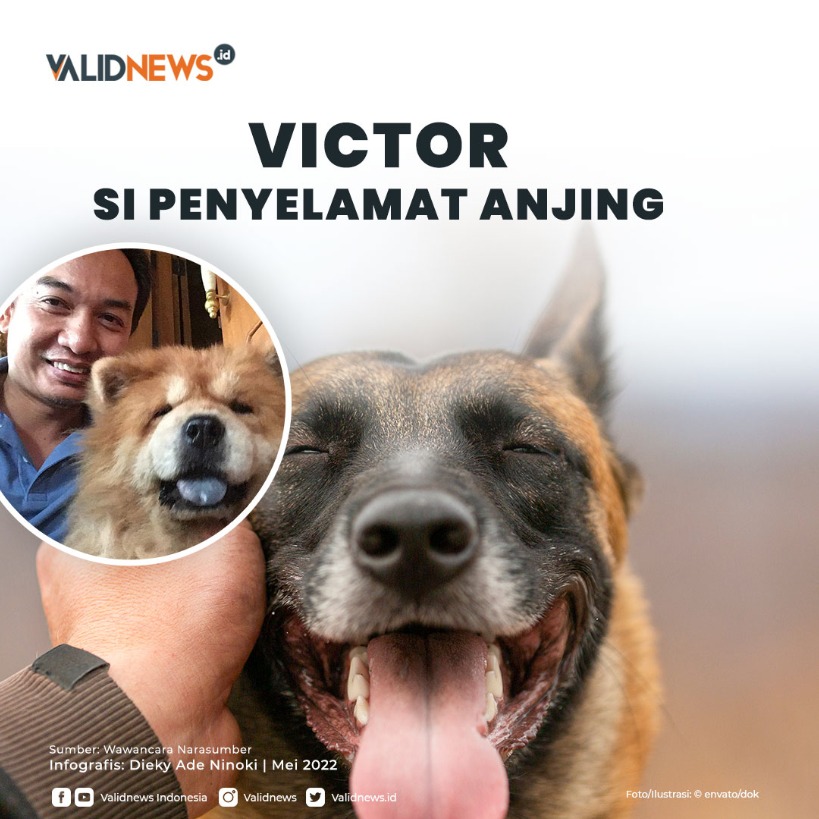 Victor Si Penyelamat Anjing