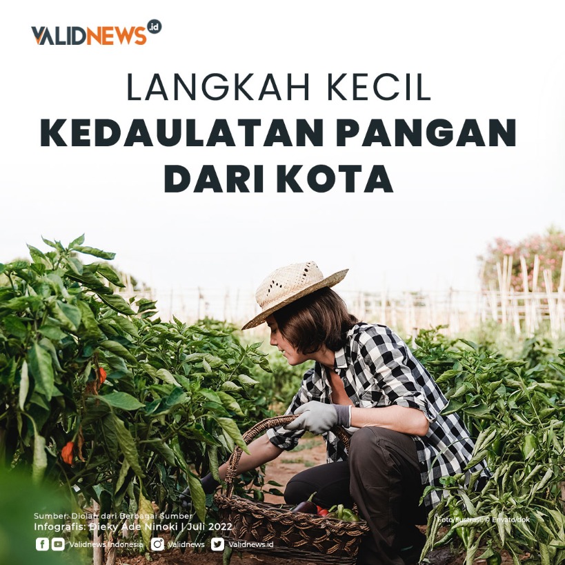 Langkah Kecil Kedaulatan Pangan dari Kota