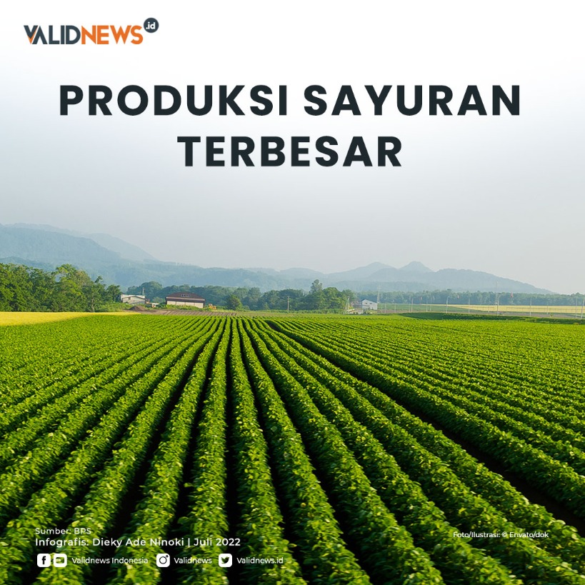 Produksi Sayuran Terbesar