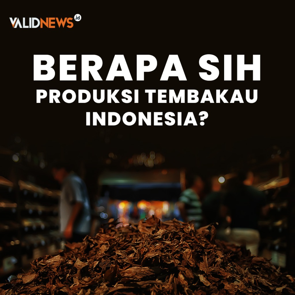 BERAPA SIH PRODUKSI TEMBAKAU INDONESIA?