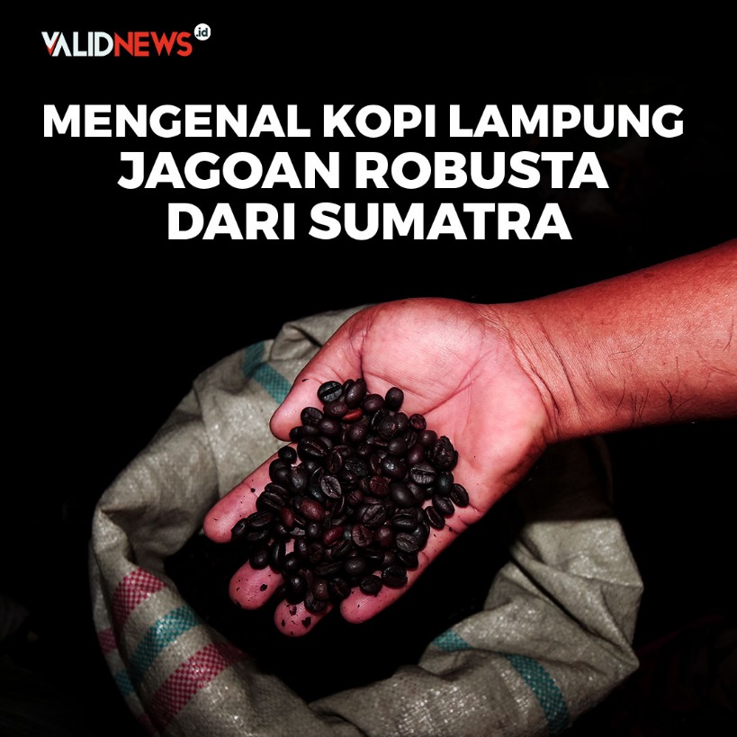 Mengenal Kopi Lampung, Jagoan Robusta dari Sumatra