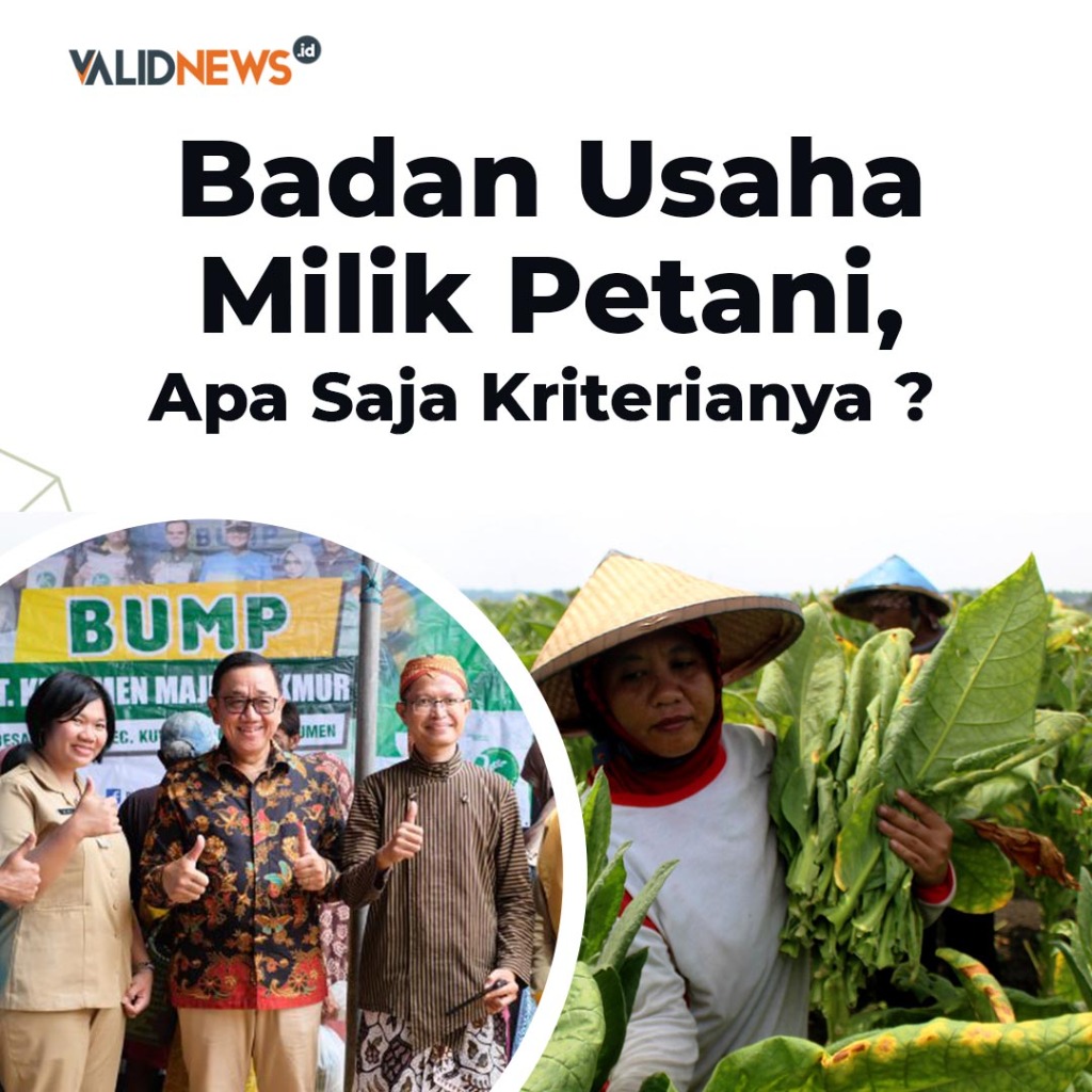 Badan Usaha Milik Petani, Apa Saja Kriterianya ?