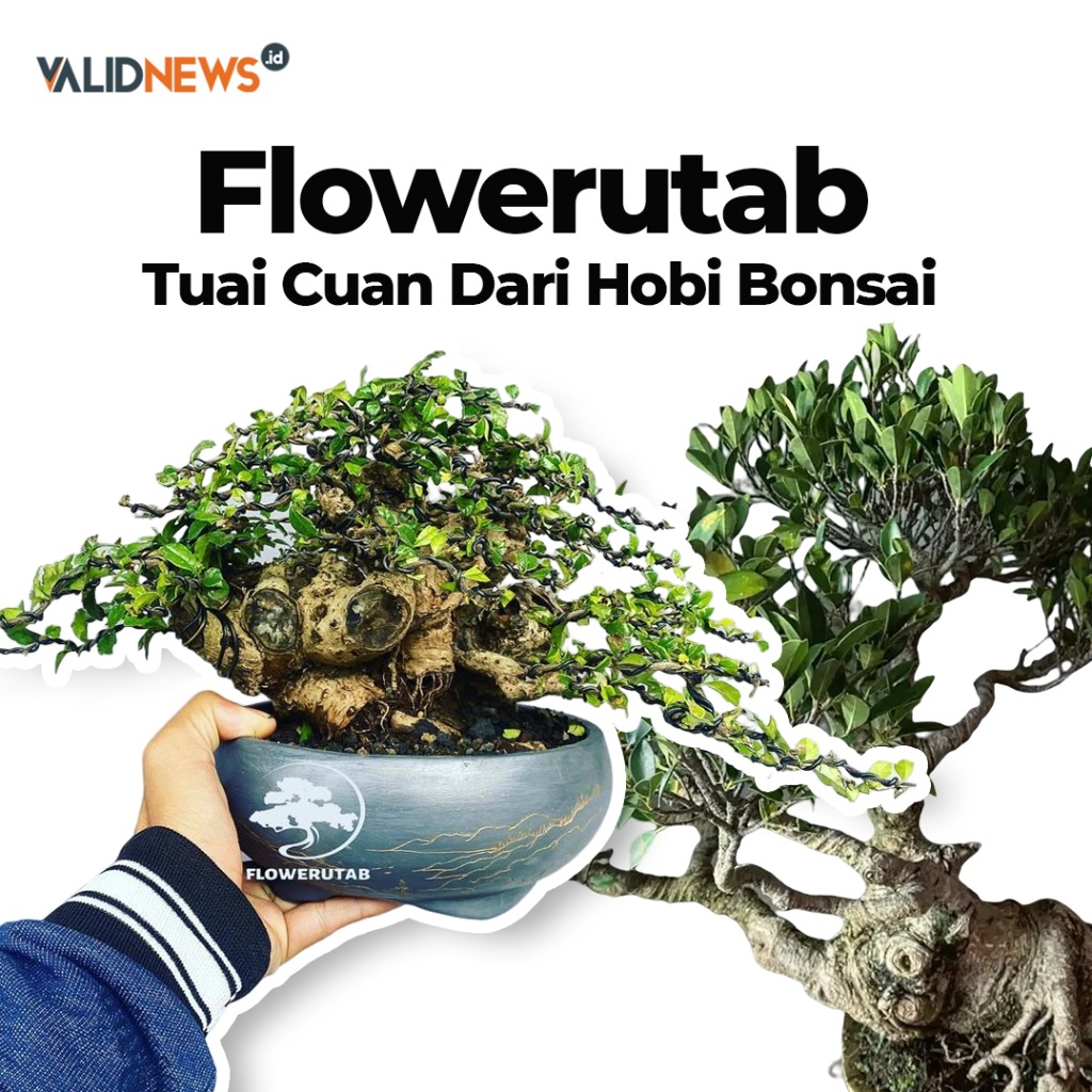 Flowerutab Tuai Cuan Dari Hobi Bonsai