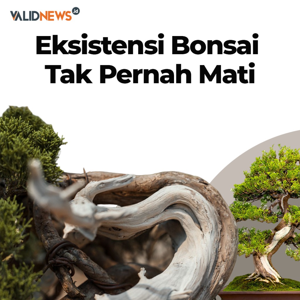 Eksistensi Bonsai Tak Pernah Mati