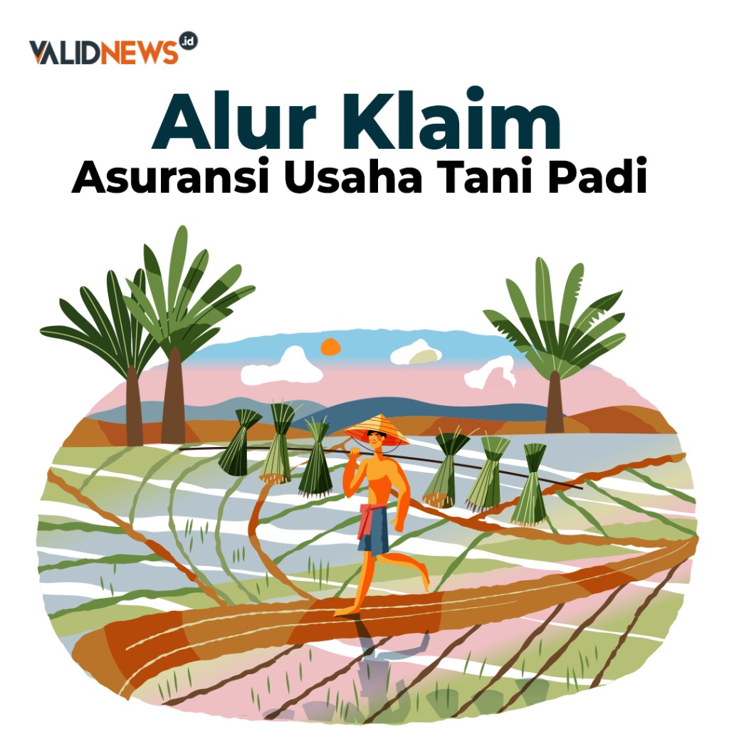 Alur Klaim Asuransi Usaha Tani Padi