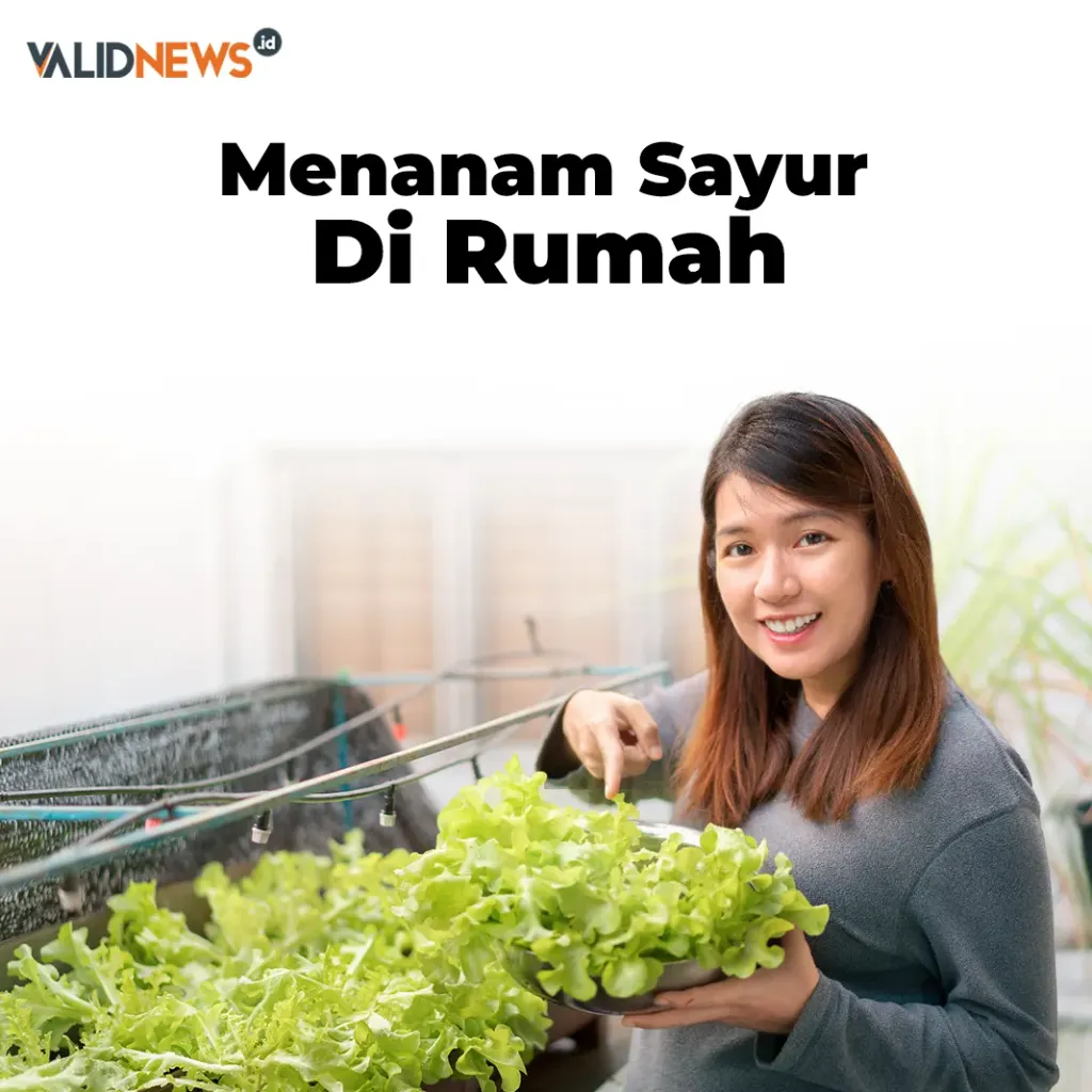 Menanam Sayur Di Rumah