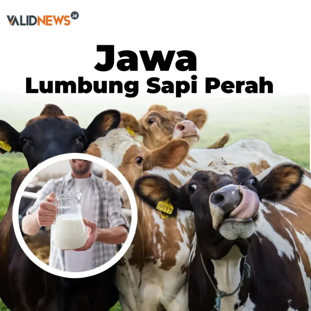 Jawa, Lumbung Sapi Perah