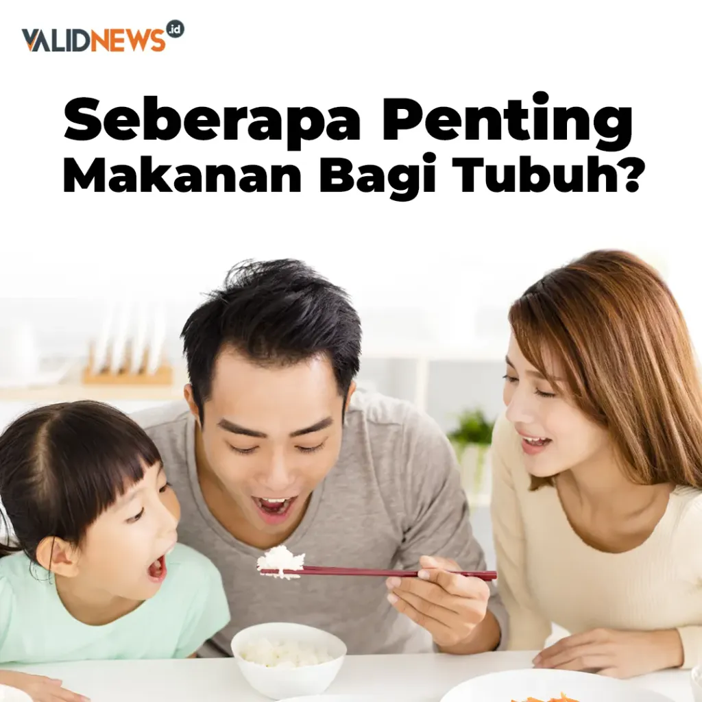 Seberapa Penting Makanan Bagi Tubuh?