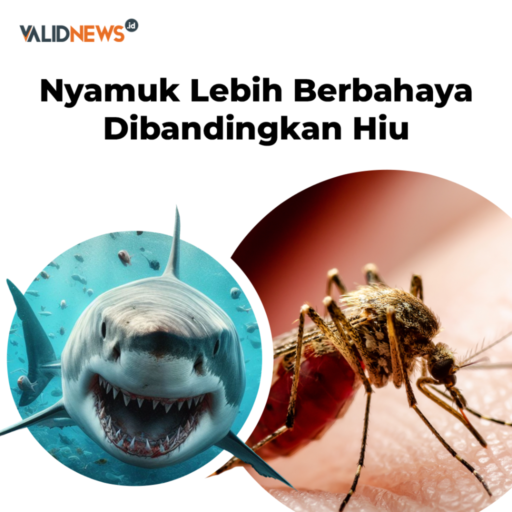 Nyamuk Lebih Berbahaya Dibandingkan Hiu