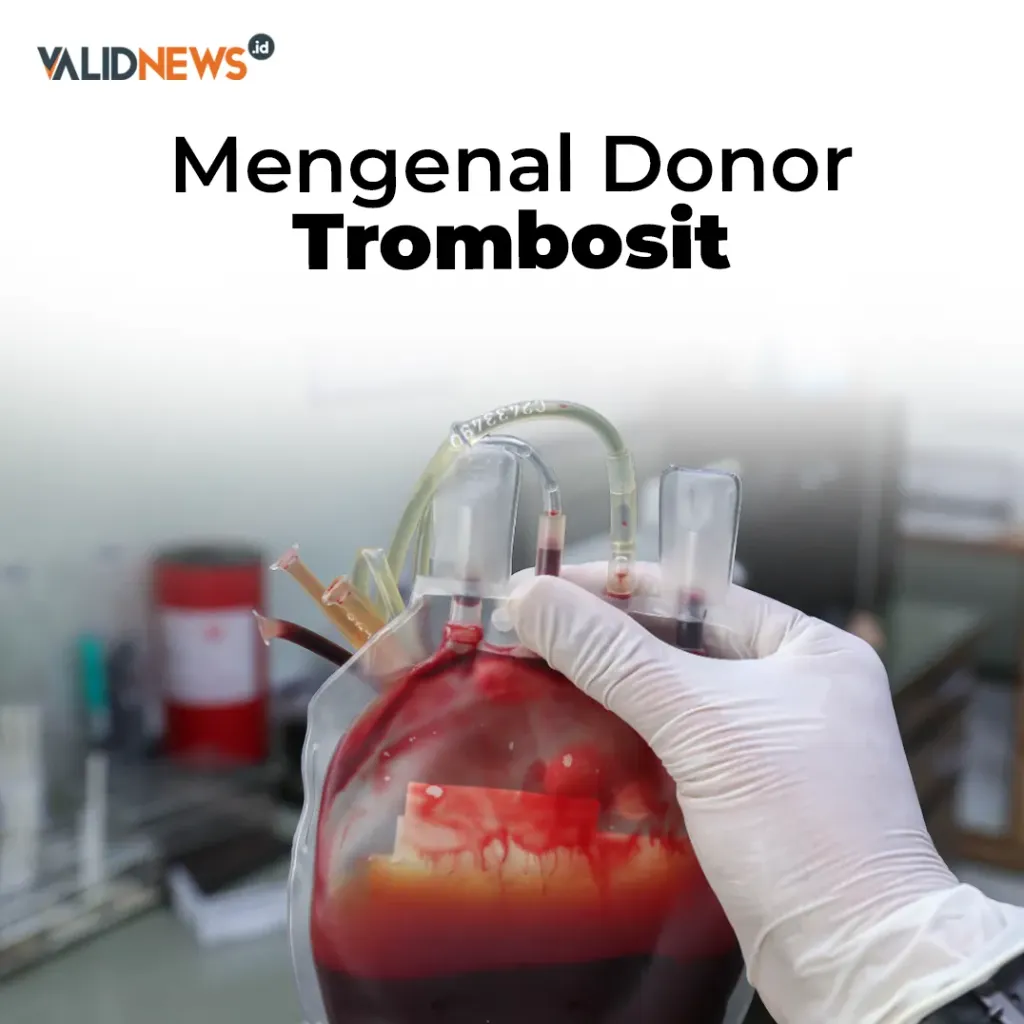 Mengenal Donor Trombosit