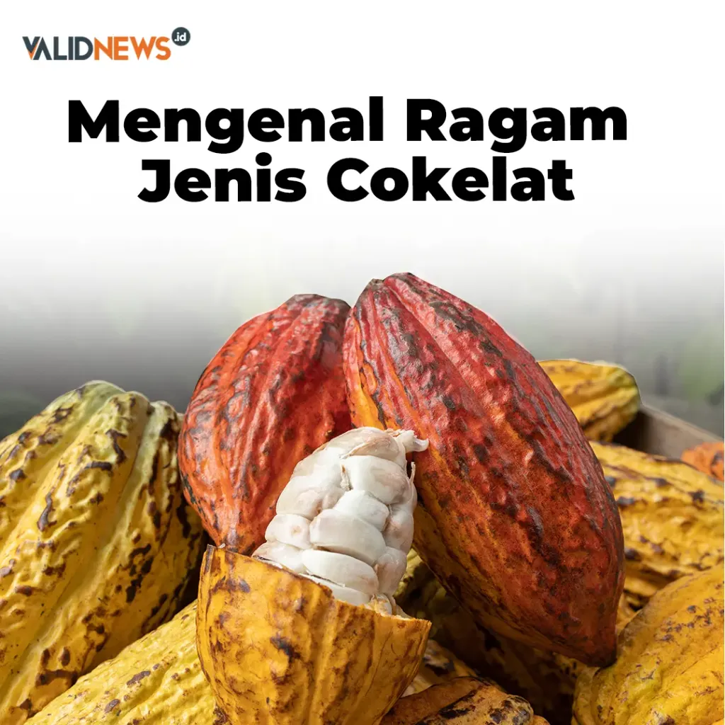 Mengenal Ragam Jenis Cokelat