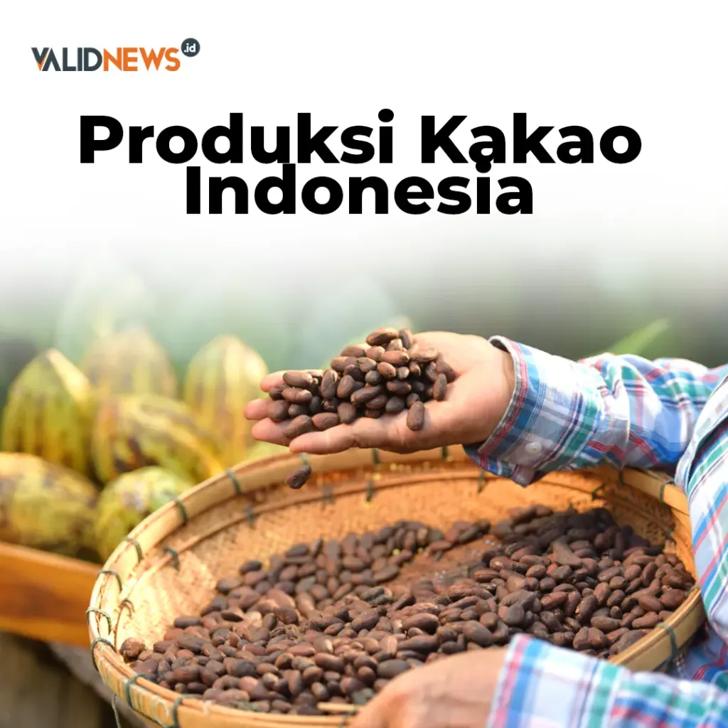 Produksi Kakao Indonesia