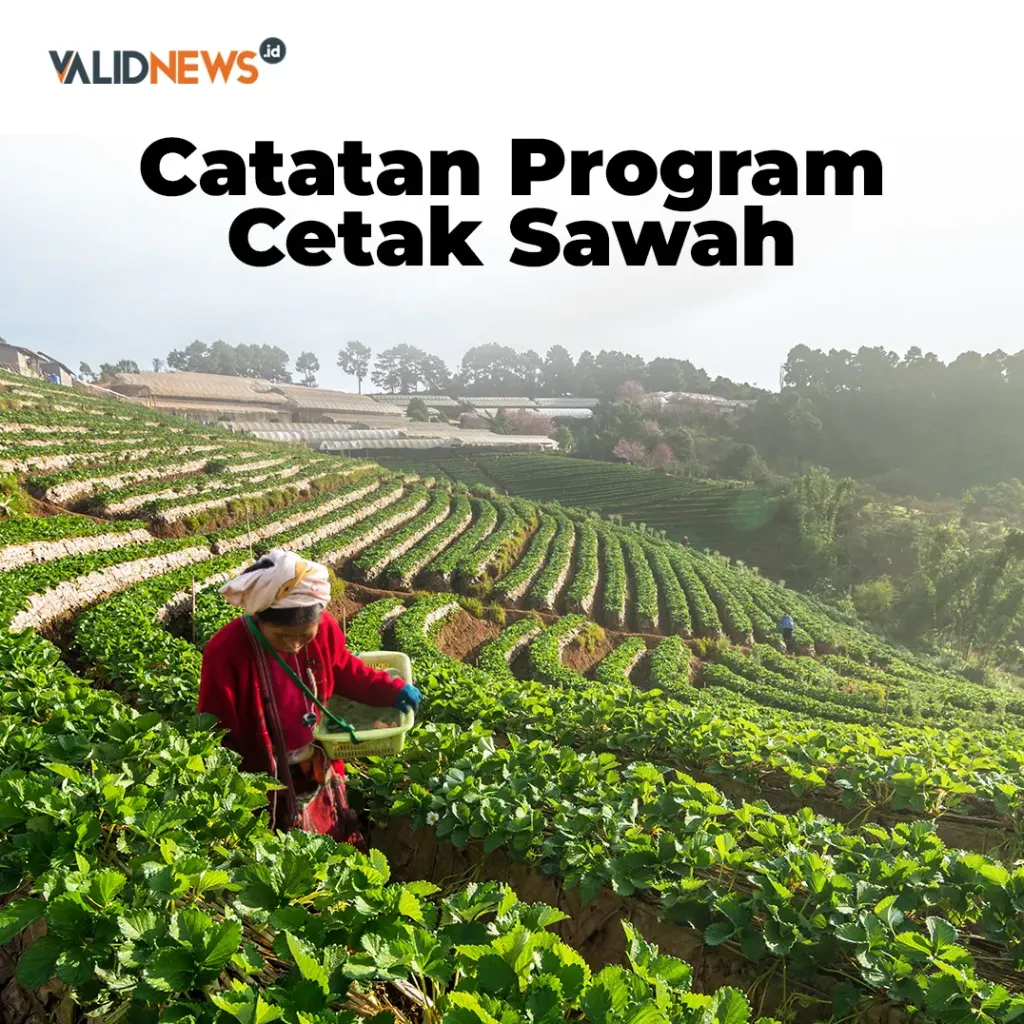 Catatan Program Cetak Sawah