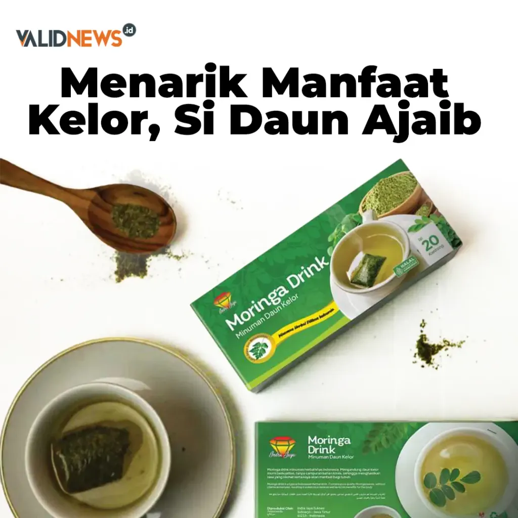 Menarik Manfaat Kelor, Si Daun Ajaib
