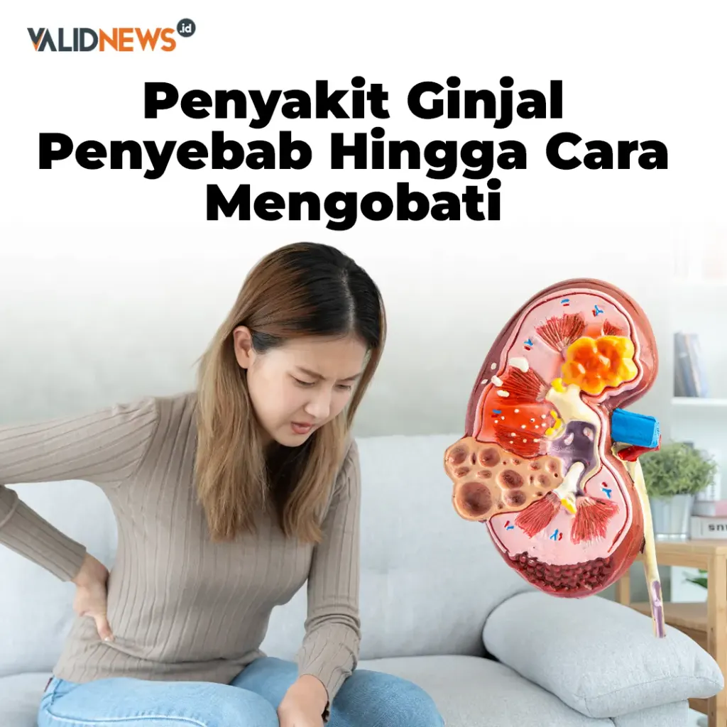 Penyakit Ginjal Penyebab Hingga Cara Mengobati